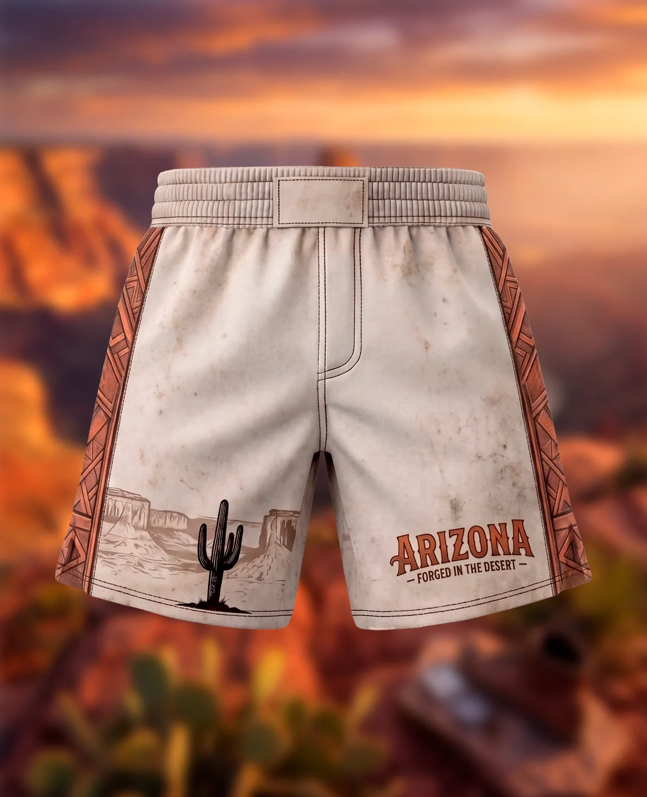 Pre-Order Arizona 2.0 Shorts